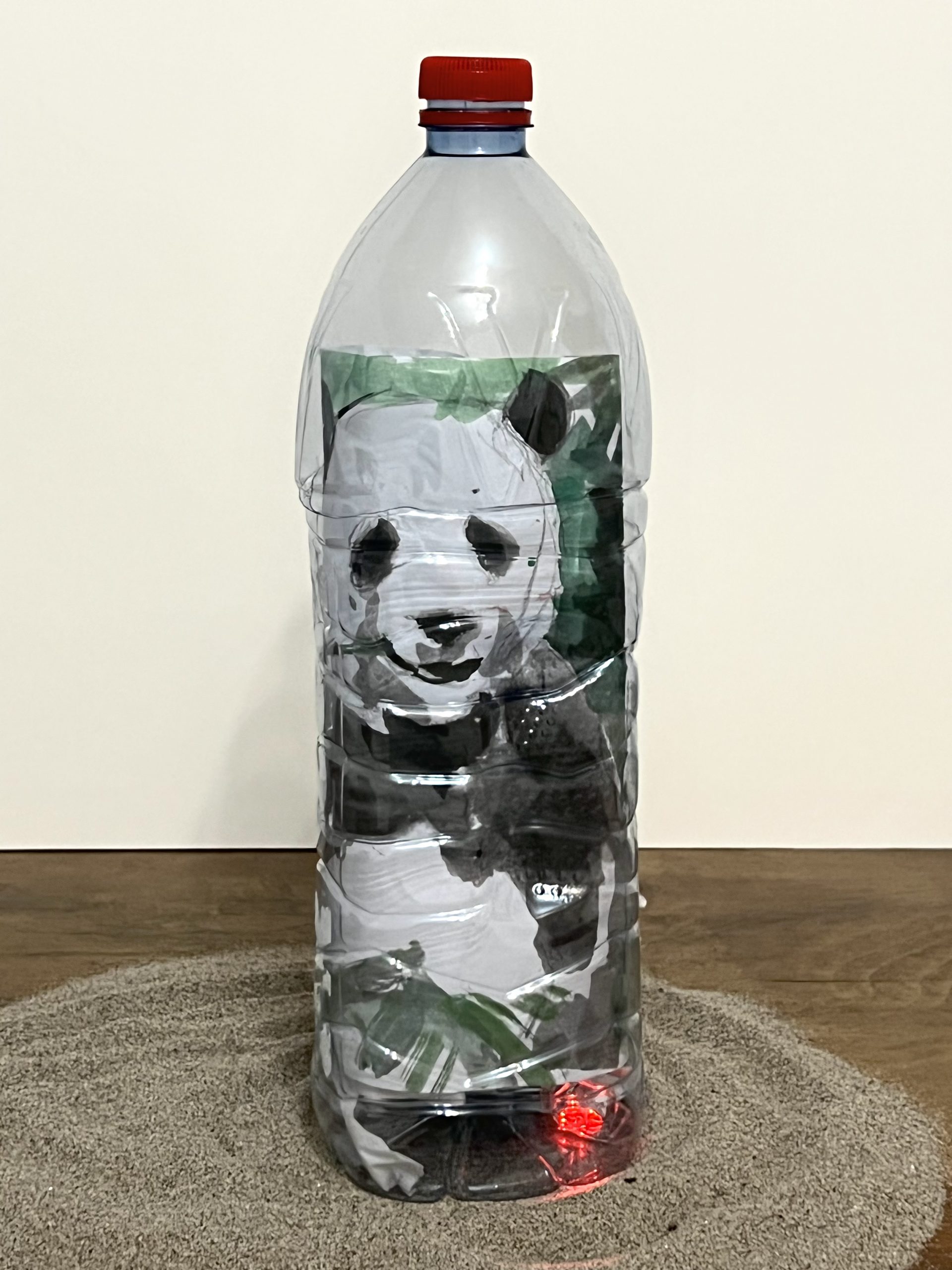 Panda_vom Aussterben bedroht_Liu_Kunst