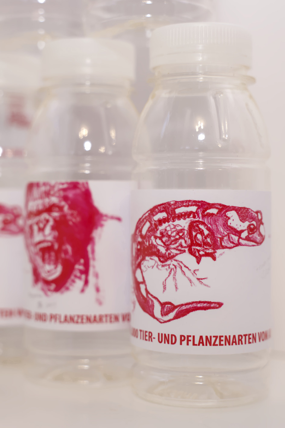 Biokuststoff-Flasche mit Kunst